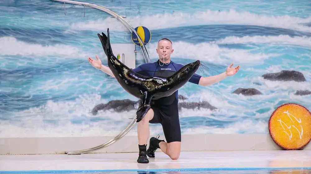 دلفیناریوم دبی